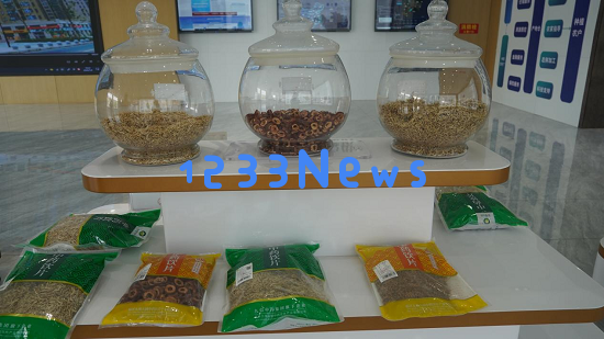 归雁人才从海外留学归国创业，助力平邑金银花产业快速发展