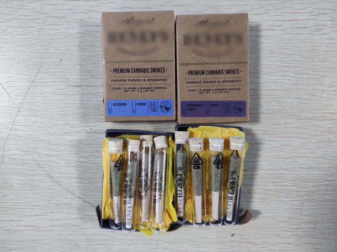 深圳海关全面查获一起大麻案件涉及从原料到成品的全链条