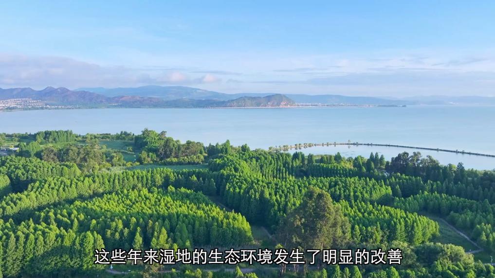 保护鸟类栖息环境共建美丽生态愿景