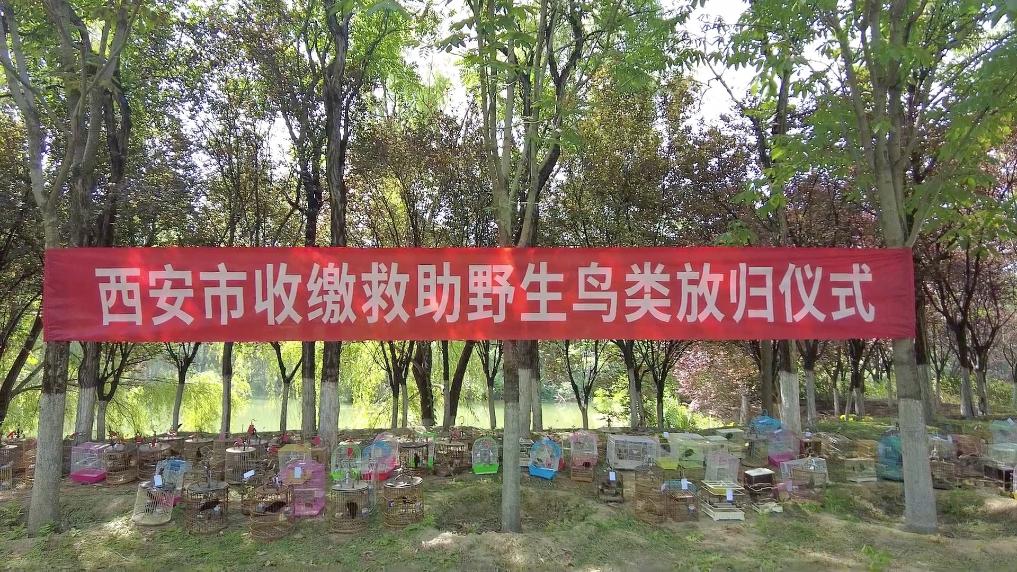 保护鸟类栖息环境共建美丽生态愿景