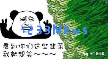 跨国区块链投资职业“韭菜收获队”骗光你的钱：警惕这类骗局！如何保护你的财产？