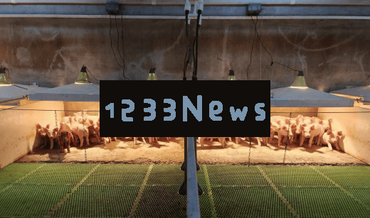 猪肉价格持续低迷，行业拐点究竟何时会出现？