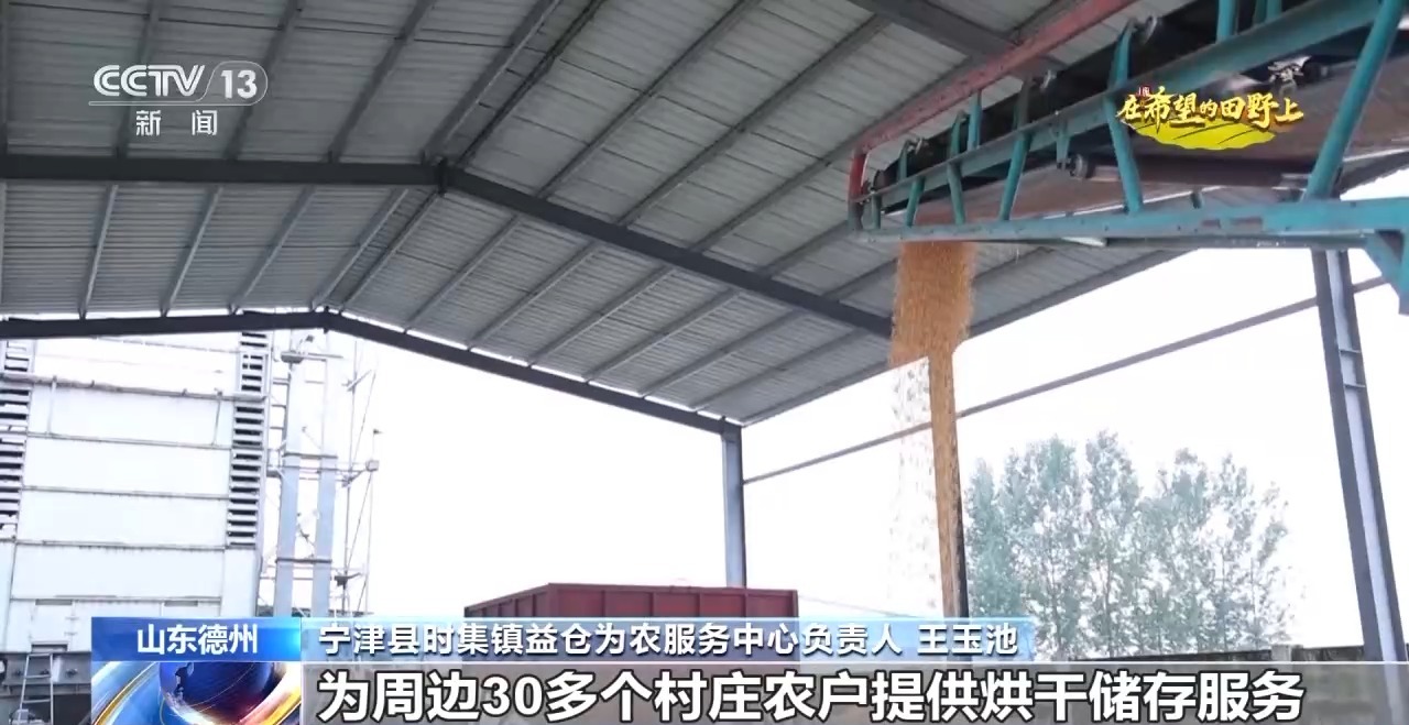 秋雨绵绵催秋收各地区积极抢收抢烘确保秋季粮食丰收颗粒归仓