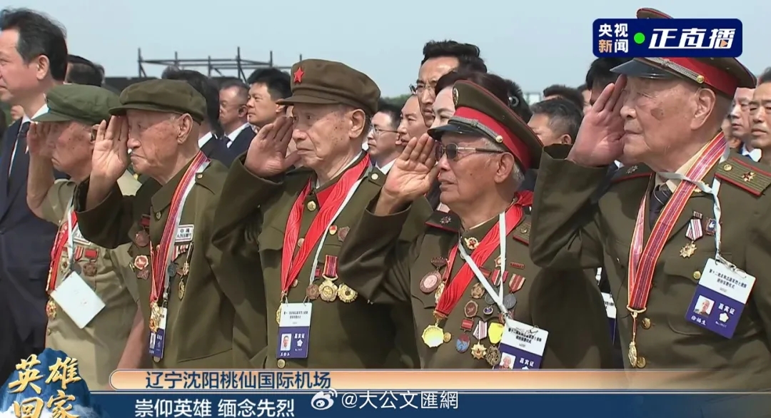 勇者归来，温暖的故乡等你英雄回家