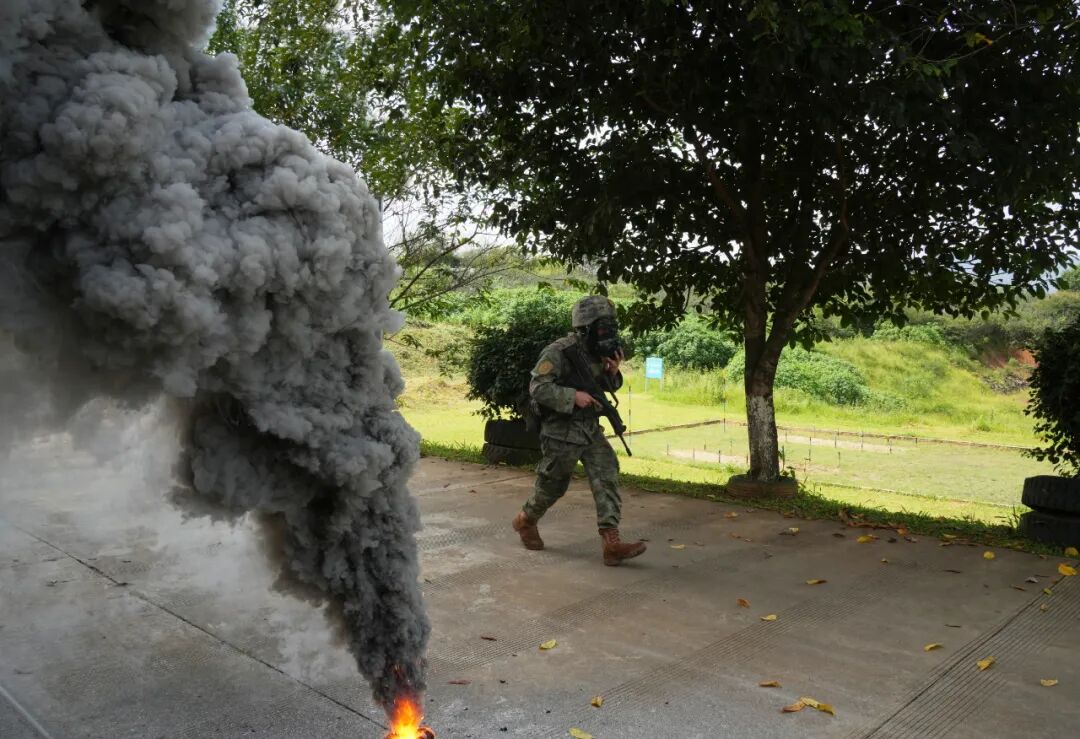 迎战而上！“雨林精英”比拼激烈进行中，战斗气氛紧张！