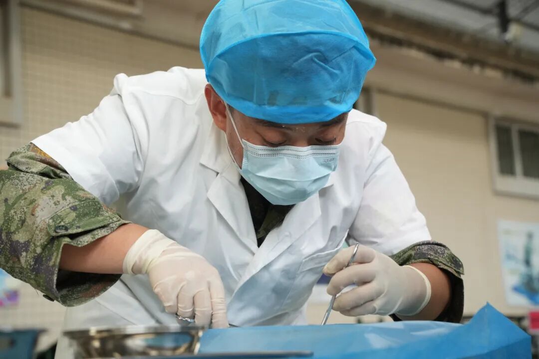 迎战而上！“雨林精英”比拼激烈进行中，战斗气氛紧张！