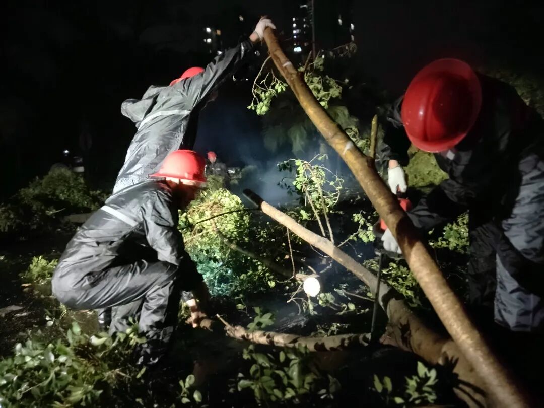 灾情无情，子弟兵闻令而动迅速投入救灾行动