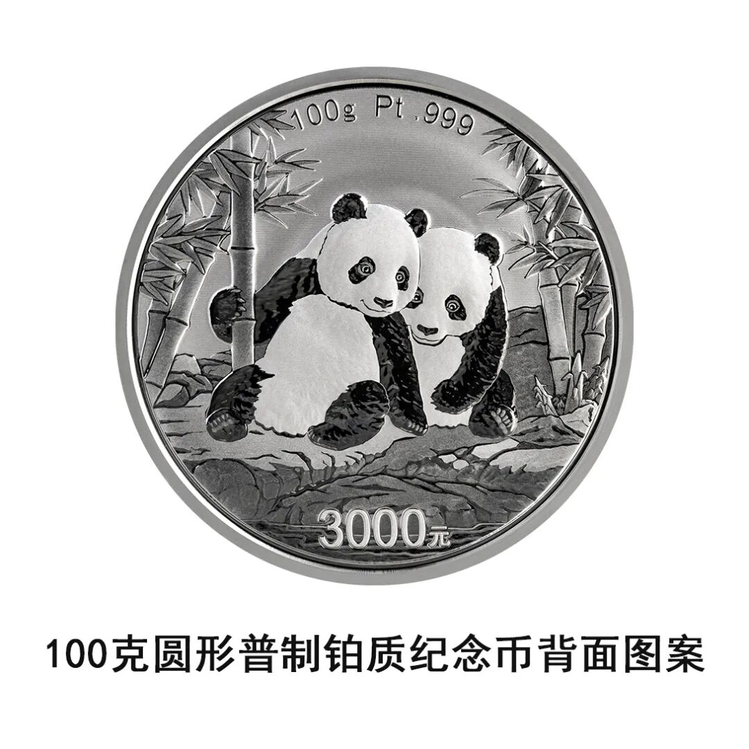 一睹为快！中国央行计划发行2026年熊猫贵金属纪念币全套