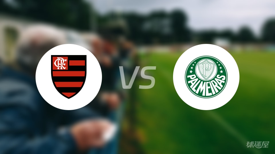 【巴西甲】弗拉门戈与帕尔梅拉斯最新首发阵容分析(2025年10月20日)