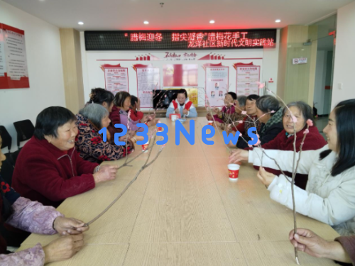 冬季手工腊梅盛会，邻居欢聚共度温暖时光