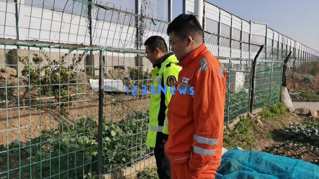 高速公路隔音墙下菜园隐患：村民“见缝插绿”频繁种植仍存安全风险