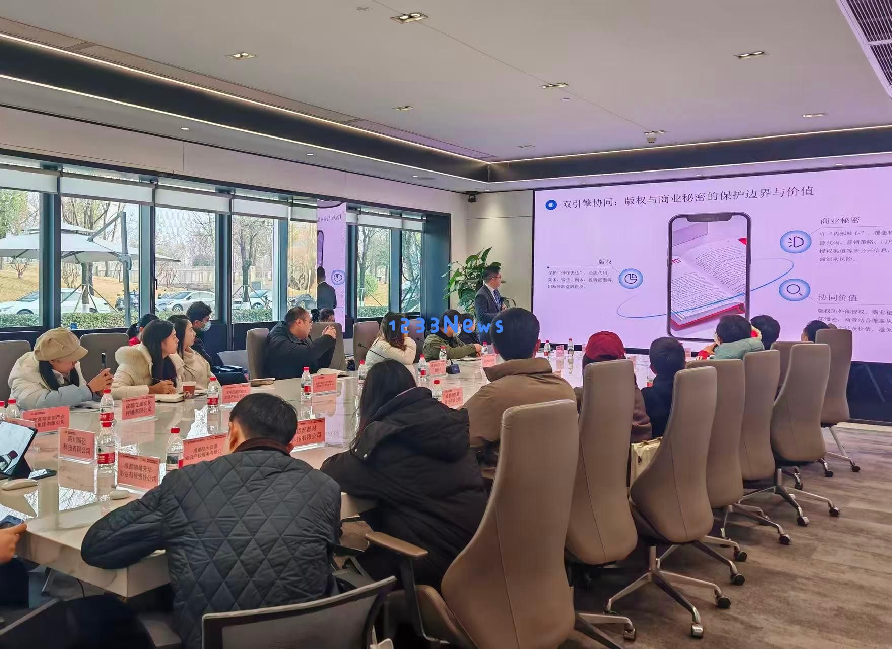 成都数字文化创意产业迎来个性化保护服务新举措