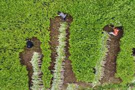 黄冈两会 | 蕲春市累计研发艾滋病相关产品超过1000种