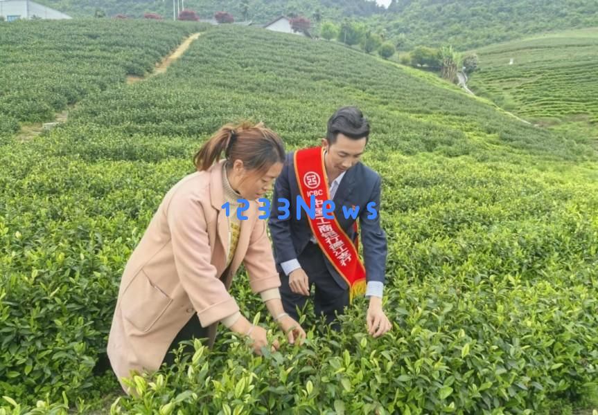 工行铜仁分行：以金融助力，描绘铜仁青绿发展的美丽新篇章