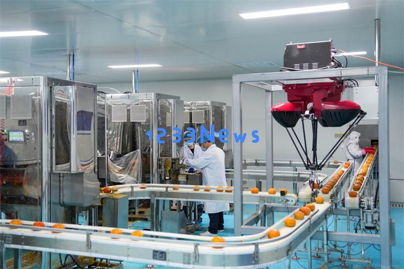 科技助力保定冰柿产业快速发展，助推经济新动能