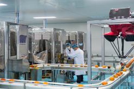 科技助力保定冰柿产业快速发展，助推经济新动能