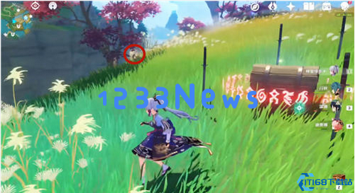 原神有个弩的地方箱子怎么开