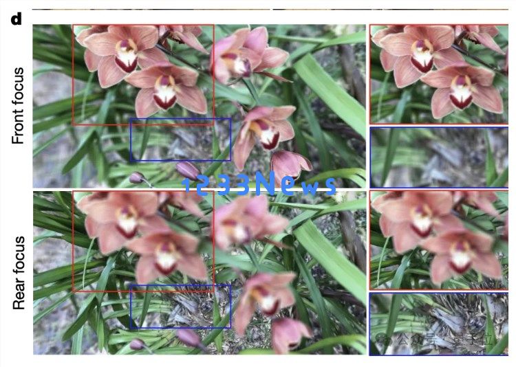 无需眼镜，未来已来！这项中国黑科技实现了裸眼 3D 显示