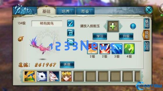 青云全方位养成指南：从宠物搭配到元婴培养的终极攻略