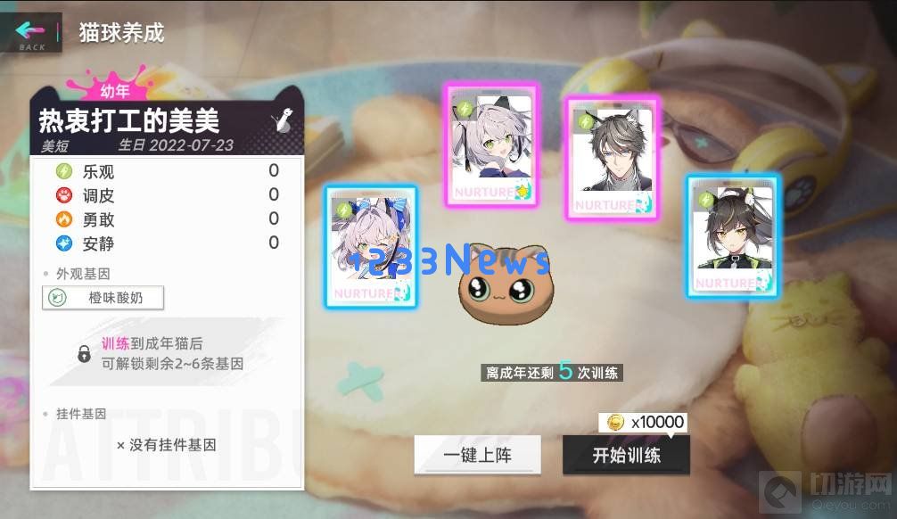 猫之城游戏中的猫球怎么训练 训练猫球的技巧：轻松掌握游戏乐趣？ 提升战斗能力