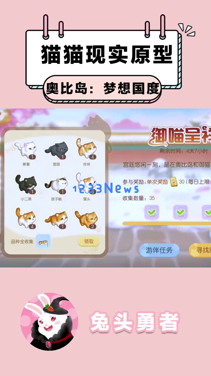 《奥比岛：梦想国度》揭秘宫廷猫咪原型及“御猫呈祥”活动中收集猫咪的乐趣与挑战