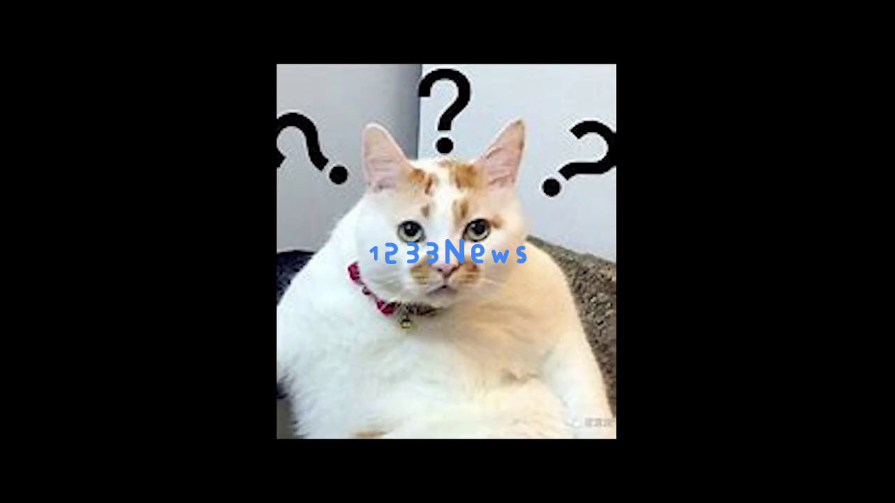 《元尊》手游是否真的轻松无压力？轻松养肝休闲、零废卡设计，还能享受免费的千抽自选体验？